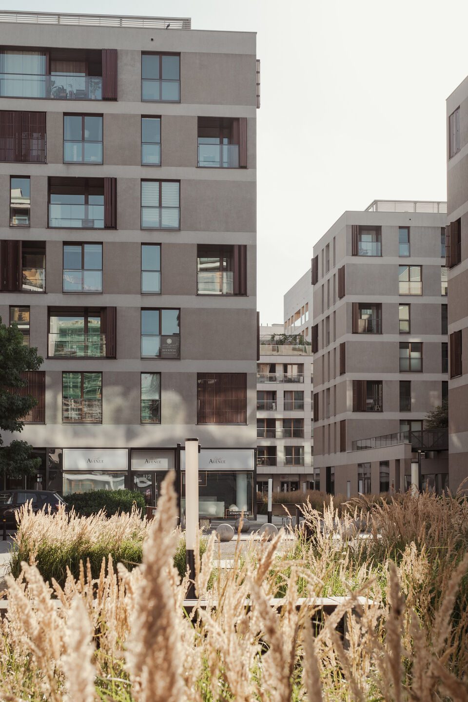 საცხოვრებელი უბანი თბილისში - სურათი