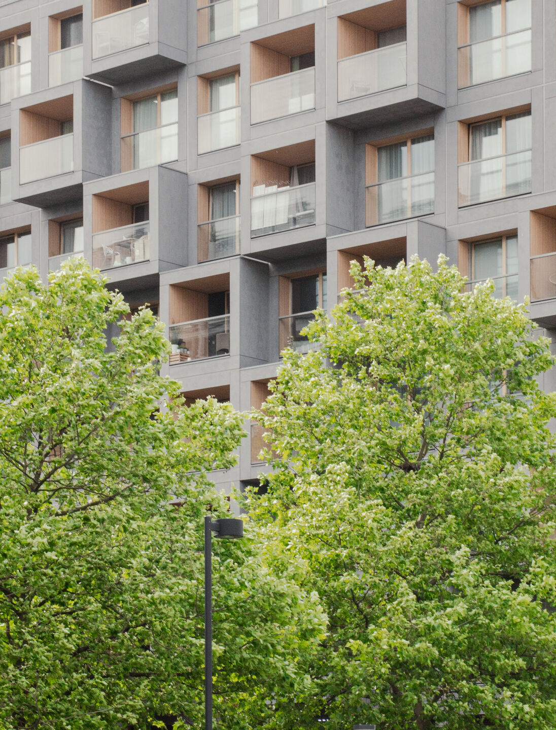 საცხოვრებელი უბანი თბილისში - სურათი