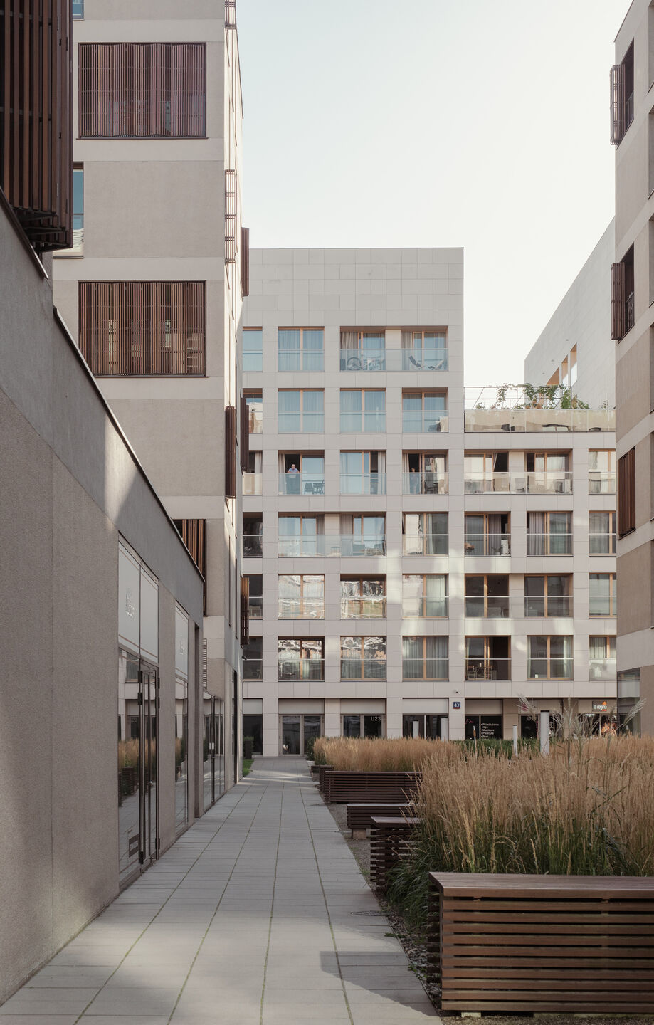 საცხოვრებელი უბანი თბილისში - სურათი