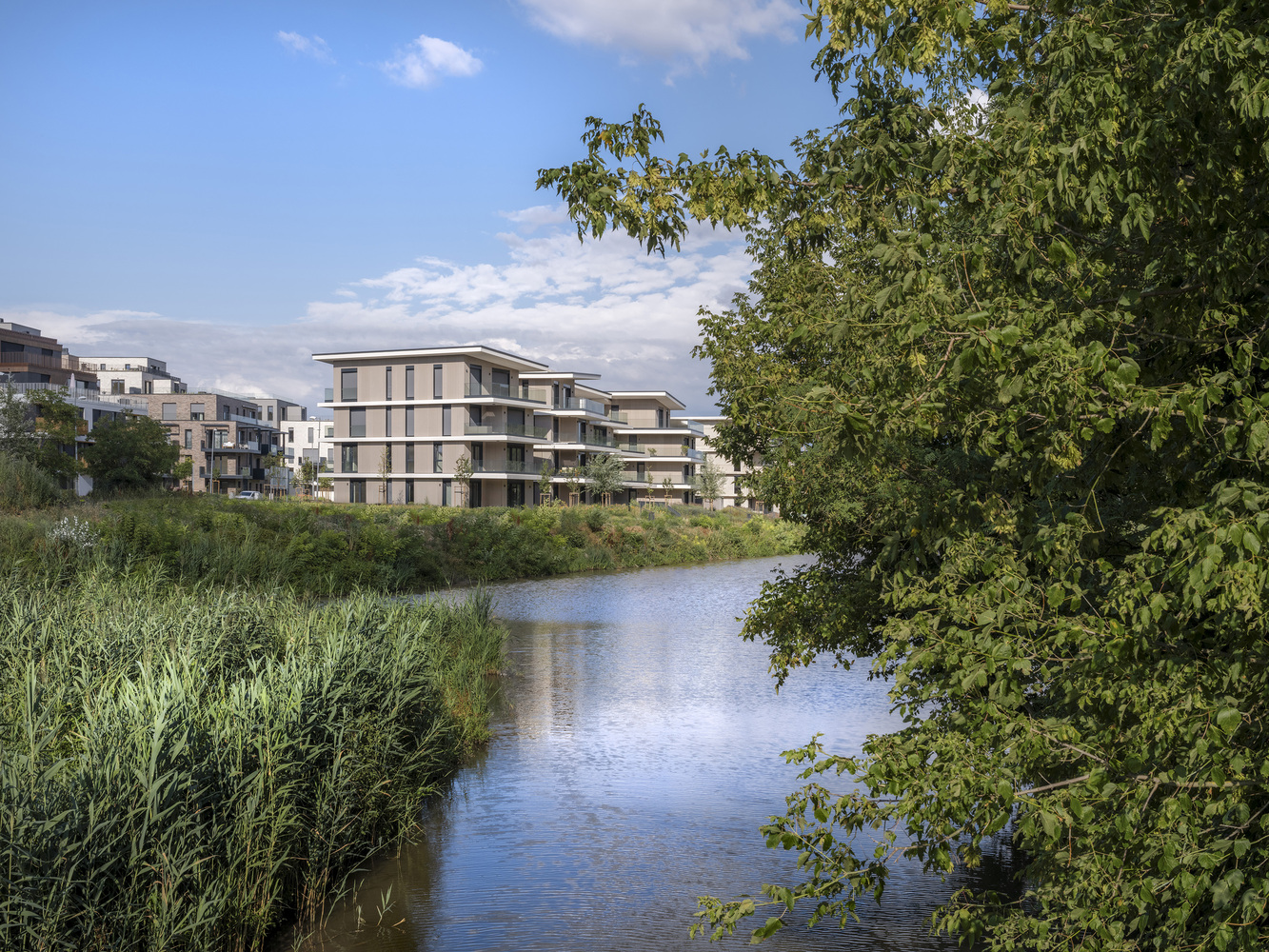 lake 11 home and park coldefy 1